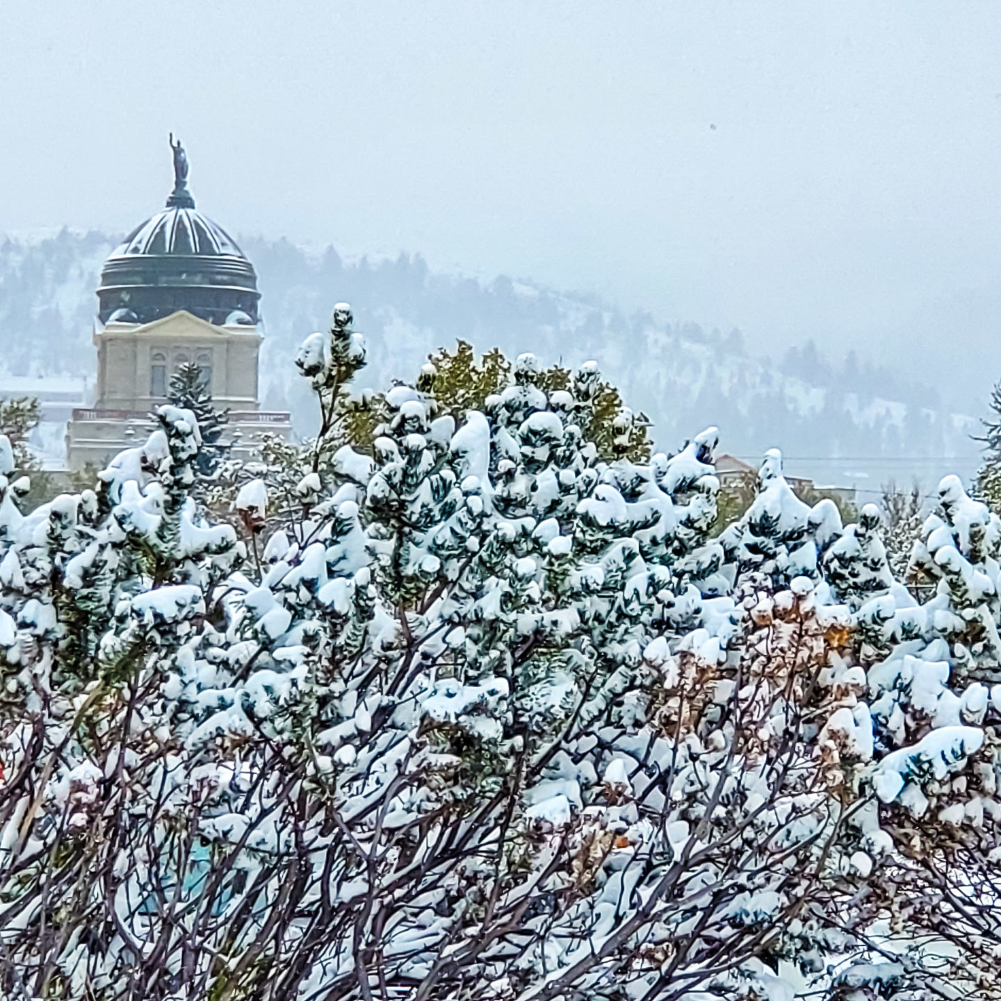 Capitol snow